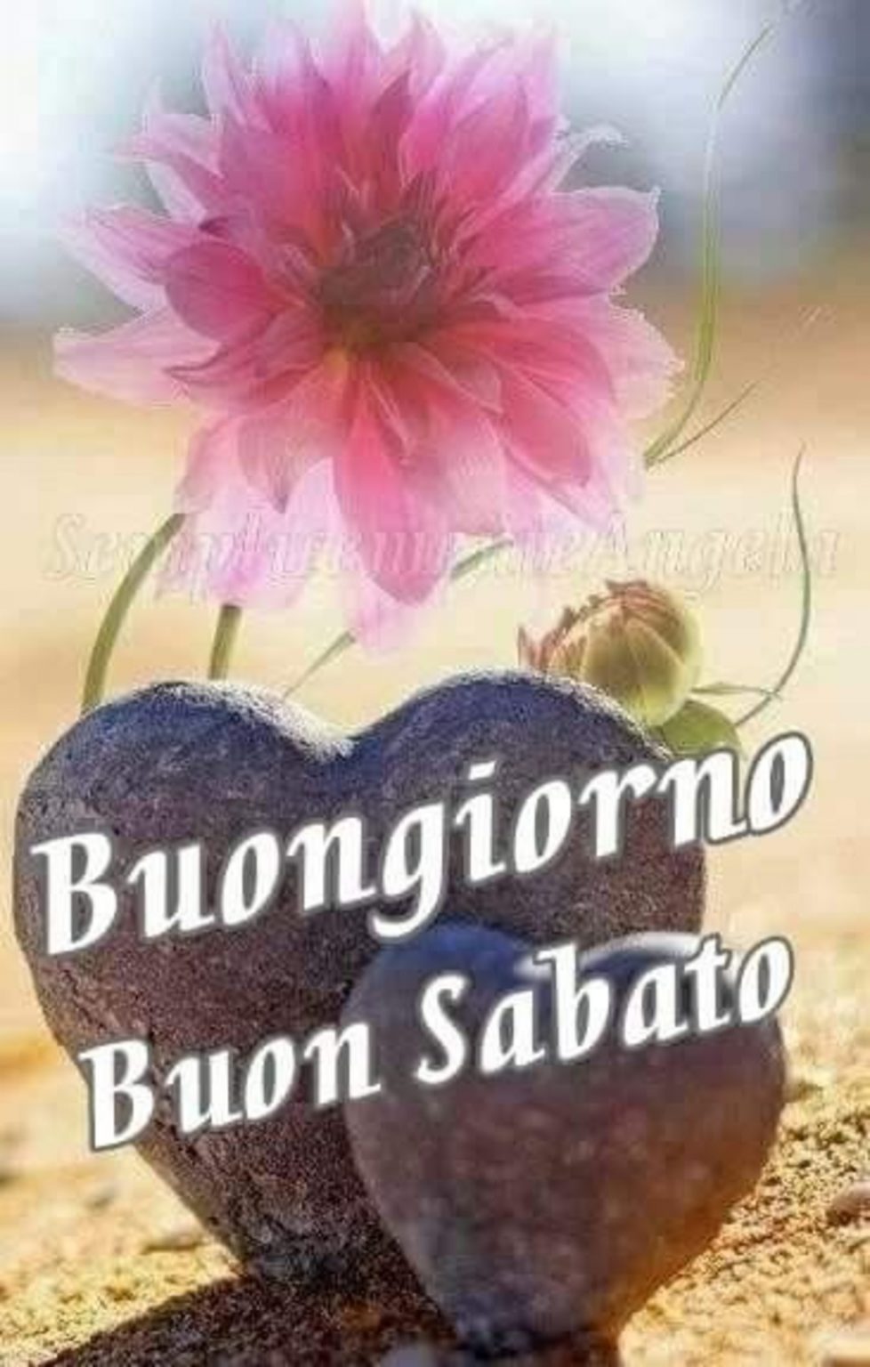 Buongiorno картинки sabato